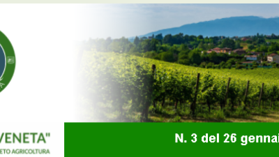 Newsletter Agricoltura Veneta n. 03 del 26.01.2022