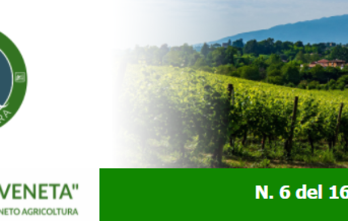 Newsletter Agricoltura Veneta n. 6 del 16 febbraio 2022