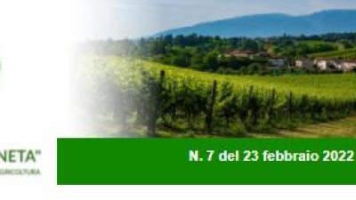 Newsletter Agricoltura Veneta n. 7 del 23.2.2022
