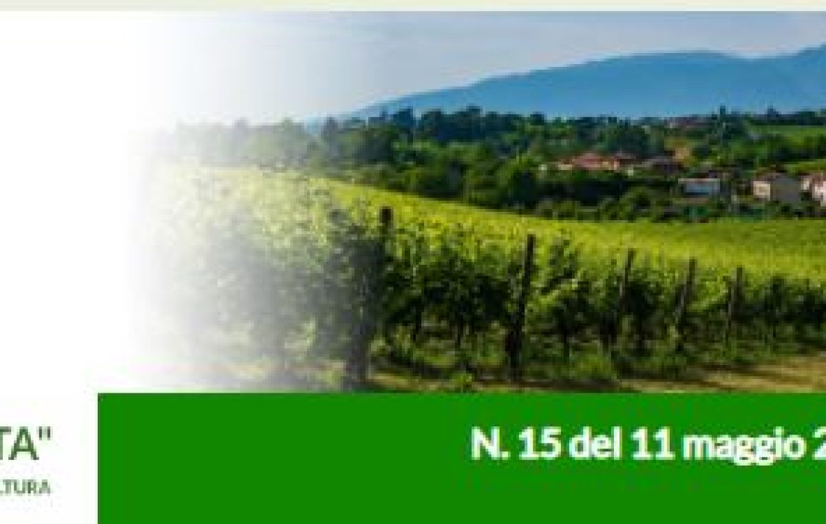 Newsletter Agricoltura Veneta n. 15 del 11 maggio 2022