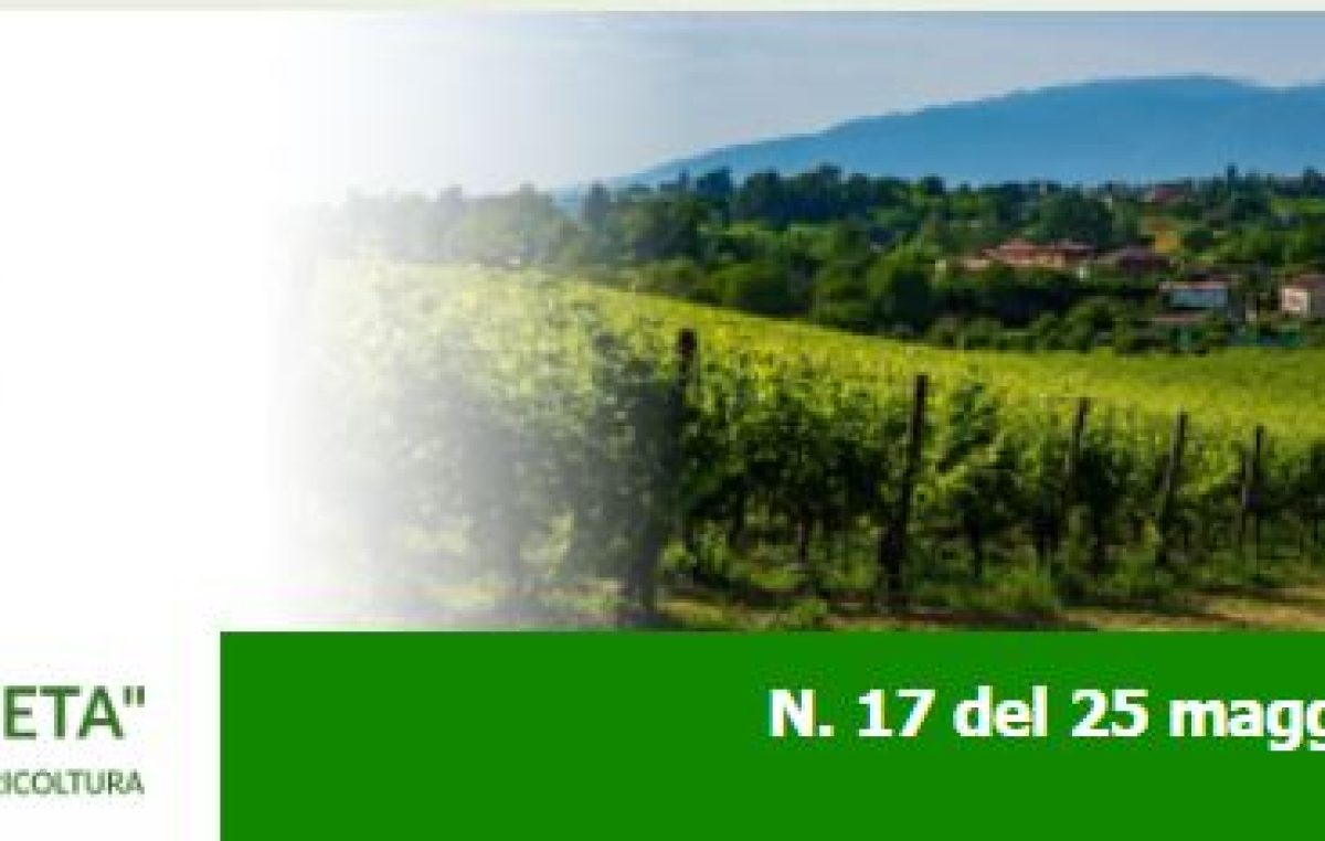 Newsletter Agricoltura Veneta n. 17 del 25 maggio 2022