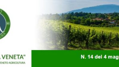 Newsletter Agricoltura Veneta n. 14 del 5 maggio 2022