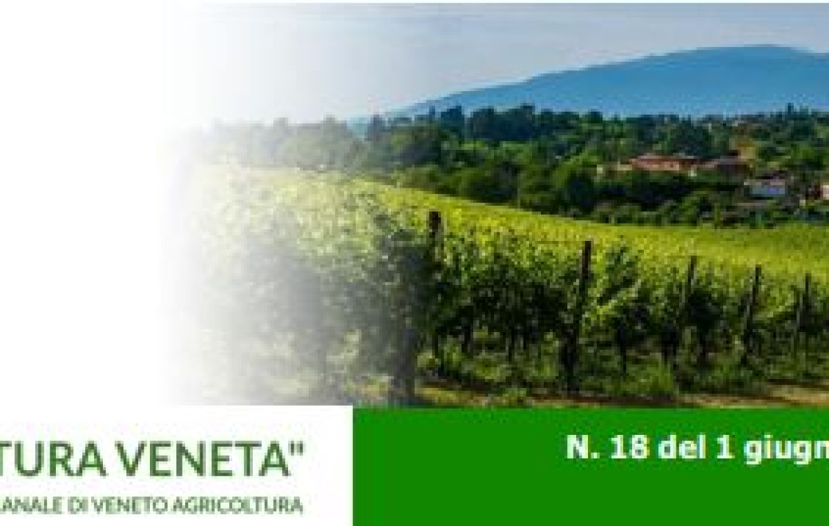 Newsletter Agricoltura Veneta n. 18 del 1° giugno 2022