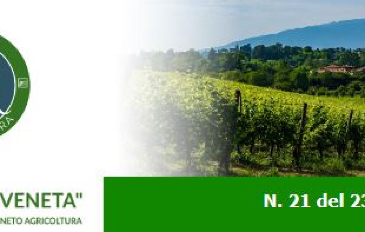 Newsletter Agricoltura Veneta n. 21 del 23 giugno 2022