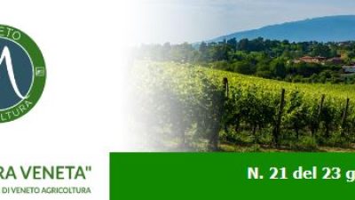 Newsletter Agricoltura Veneta n. 21 del 23 giugno 2022