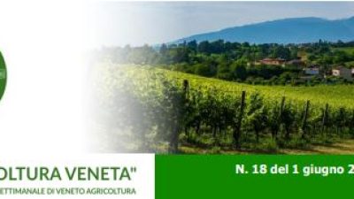 Newsletter Agricoltura Veneta n. 18 del 1° giugno 2022