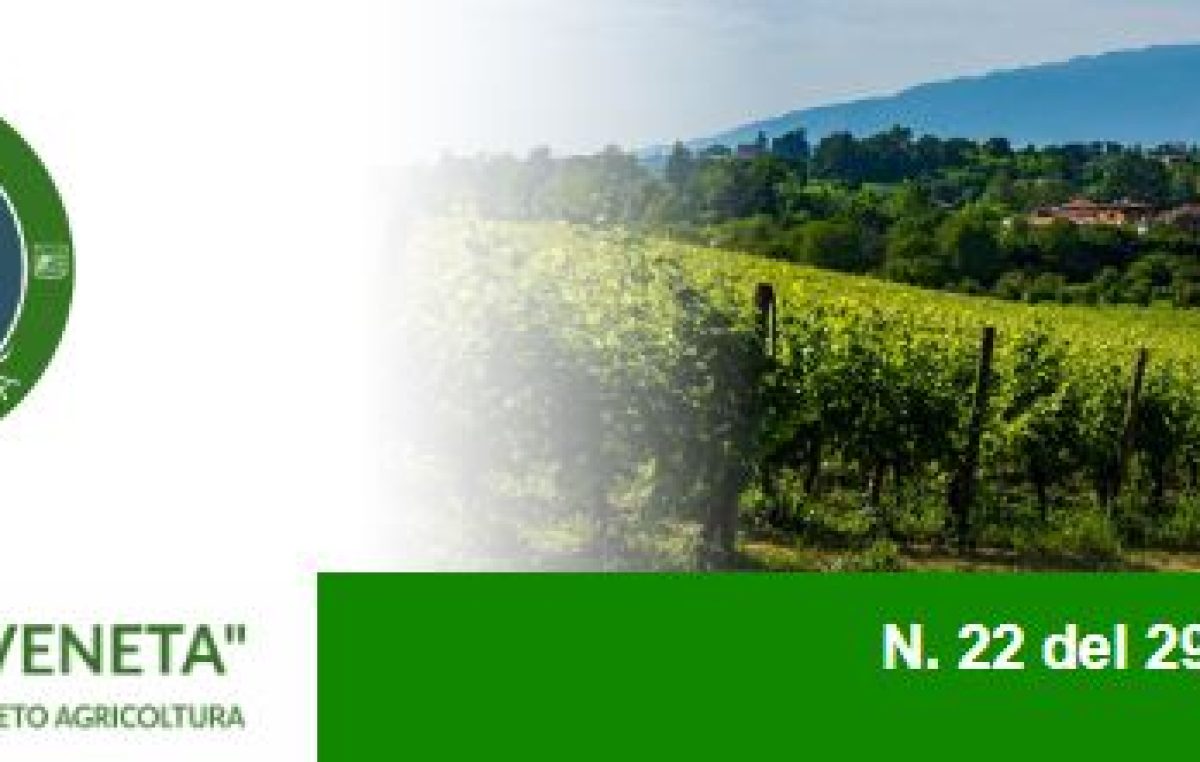 Newsletter Agricoltura Veneta n. 22 del 29 giugno 2022