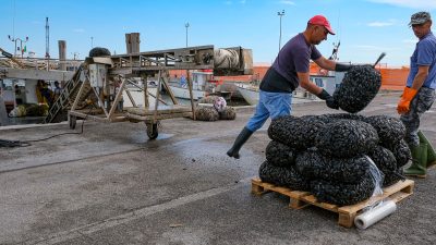 Stati Generali della Pesca del Veneto:  a Porto Tolle protagonista la sostenibiltà