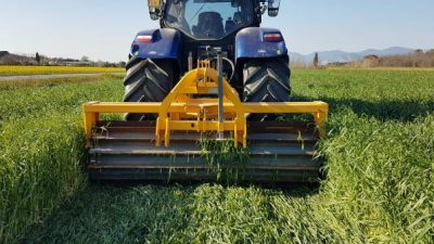 7,7 MILIARDI DI EURO: TANTO VALE L’AGRICOLTURA VENETA NEL 2022