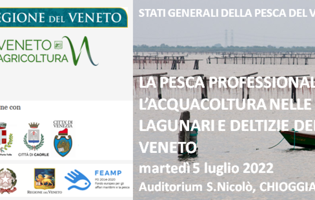 Stati Generali della Pesca del Veneto: a Chioggia la prima tappa