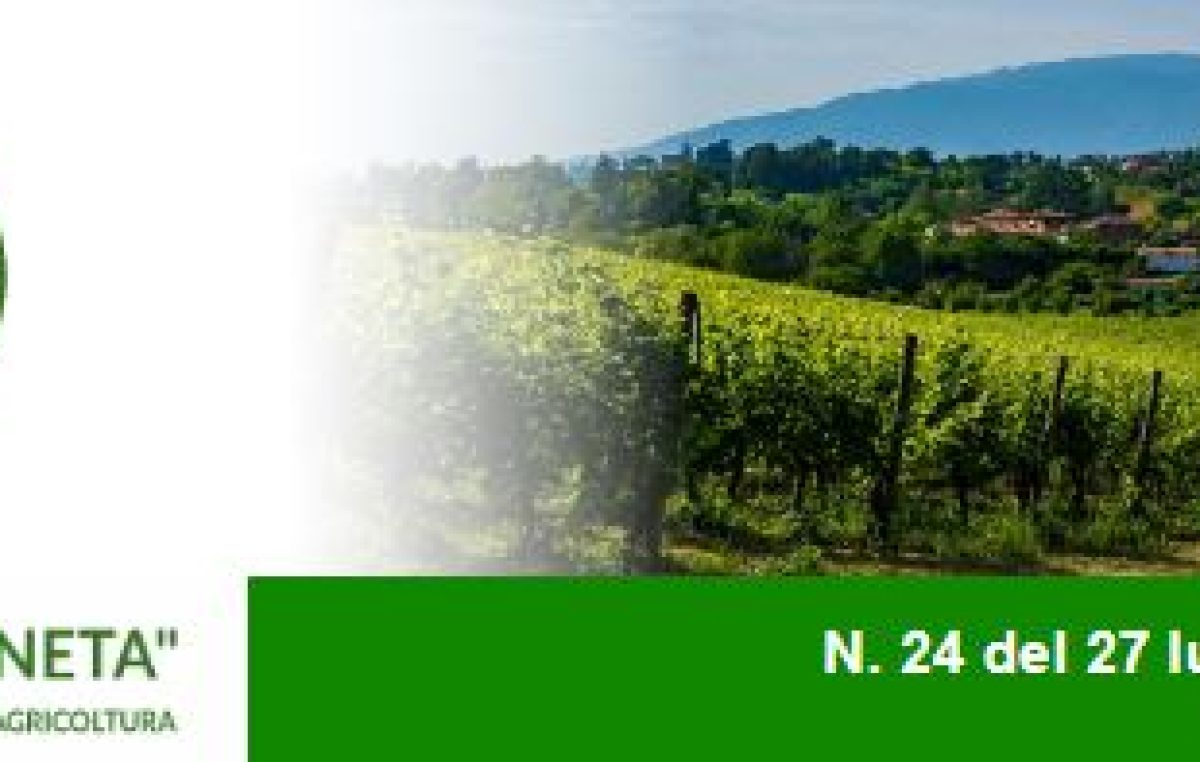 Newsletter Agricoltura Veneta n. 24 del 27 luglio 2022