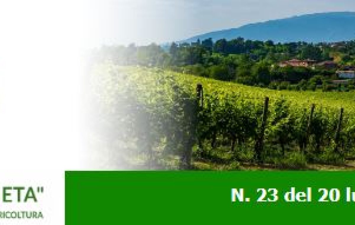 Newsletter Agricoltura Veneta n. 23 del 20 luglio 2022