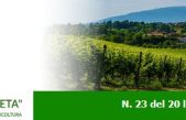 Newsletter Agricoltura Veneta n. 23 del 20 luglio 2022