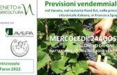 MERCOLEDI’ 24 AGOSTO (ORE 10:00) FOCUS ON-LINE SULLE PREVISIONI VENDEMMIALI IN ITALIA, FRANCIA E SPAGNA