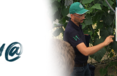 Veneto Agricoltura Inform@ n°12/2022 del 29.7.22