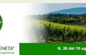 Newsletter Agricoltura Veneta n. 26 del 10 agosto 2022