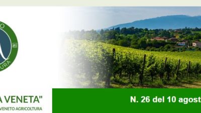 Newsletter Agricoltura Veneta n. 26 del 10 agosto 2022