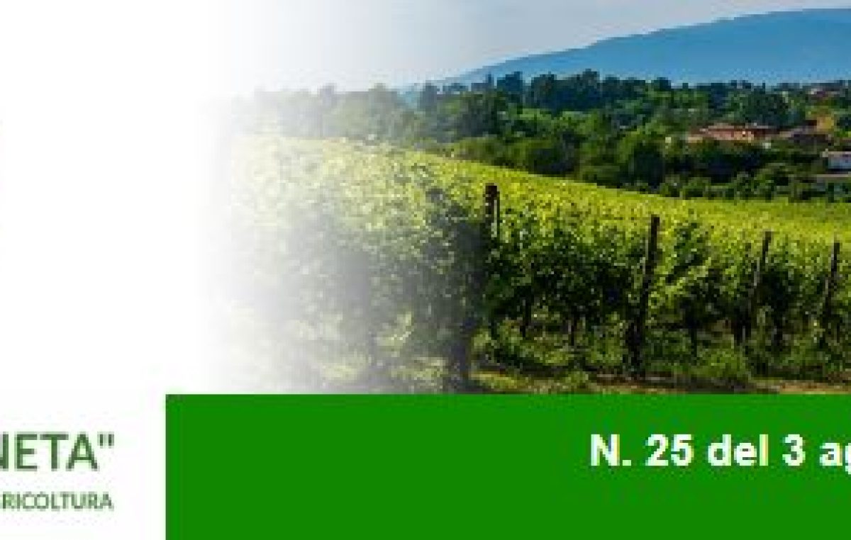 Newsletter Agricoltura Veneta n. 25 del 3 agosto 2022