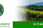Newsletter Agricoltura Veneta n. 27 del 17 agosto 2022