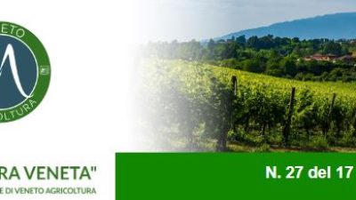 Newsletter Agricoltura Veneta n. 27 del 17 agosto 2022