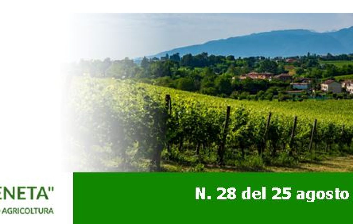 Newsletter Agricoltura Veneta n. 28 del 25 agosto 2022