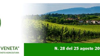 Newsletter Agricoltura Veneta n. 28 del 25 agosto 2022