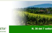 Newsletter Agricoltura Veneta n. 30 del 7 settembre 2022