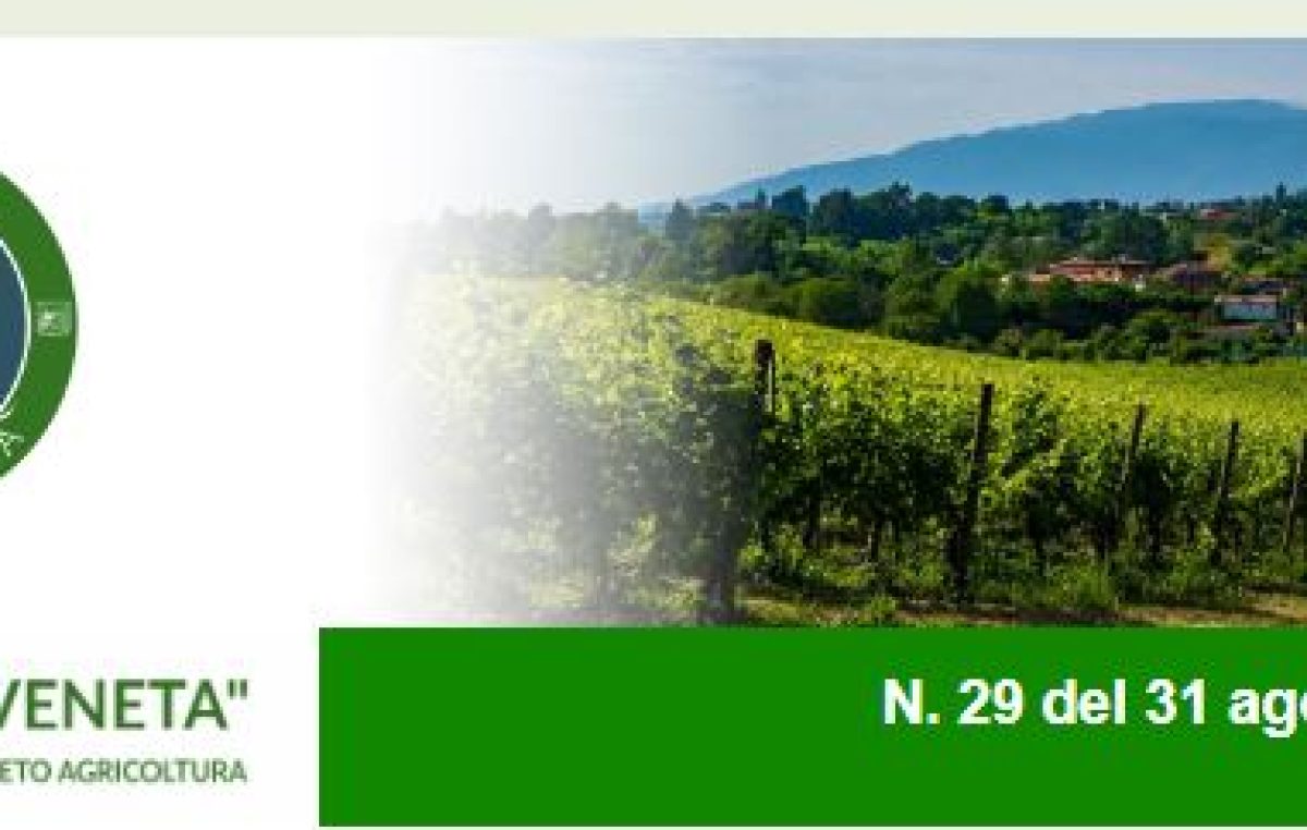 Newsletter Agricoltura Veneta n. 29 del 31 agosto 2022