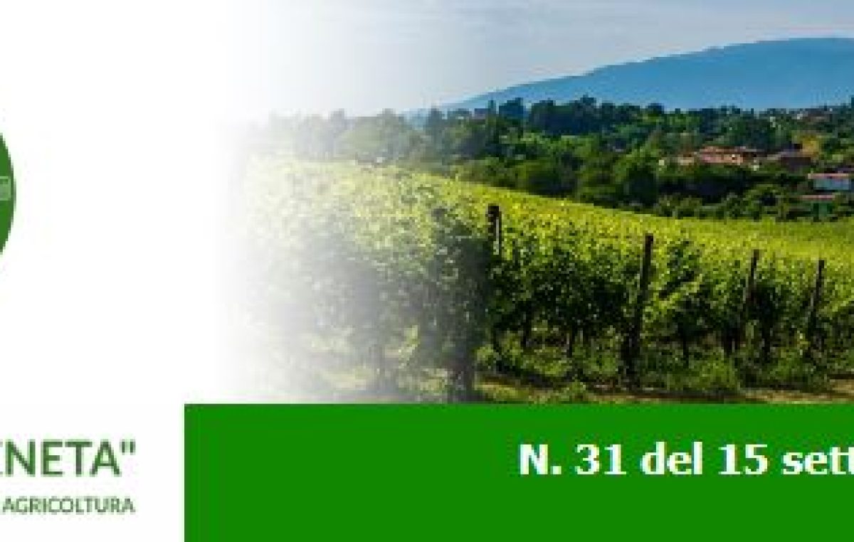 Newsletter Agricoltura Veneta n. 31 del 15 settembre 2022