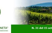 Newsletter Agricoltura Veneta n. 31 del 15 settembre 2022