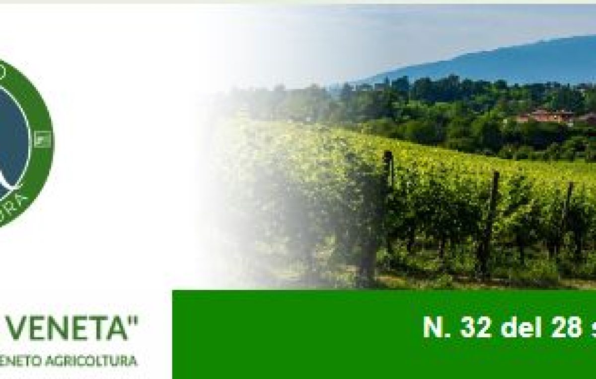 Newsletter Agricoltura Veneta n. 33 del 28 settembre 2022
