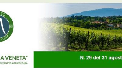 Newsletter Agricoltura Veneta n. 29 del 31 agosto 2022