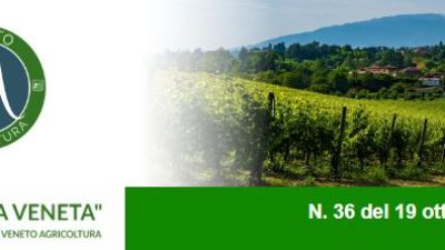 Nesletter Agricoltura Veneta n. 36 del 19 ottobre 2022