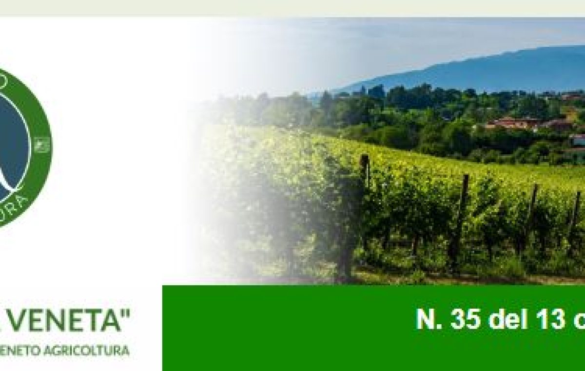 Newsletter Agricoltura Veneta n. 35 del 13 ottobre 2022