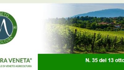 Newsletter Agricoltura Veneta n. 35 del 13 ottobre 2022