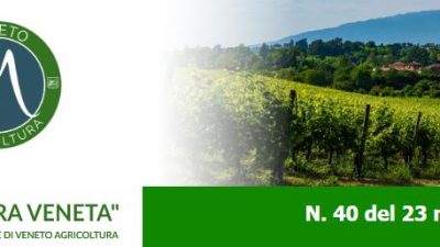 Newsletter Agricoltura Veneta n. 40 del 23 novembre 2022