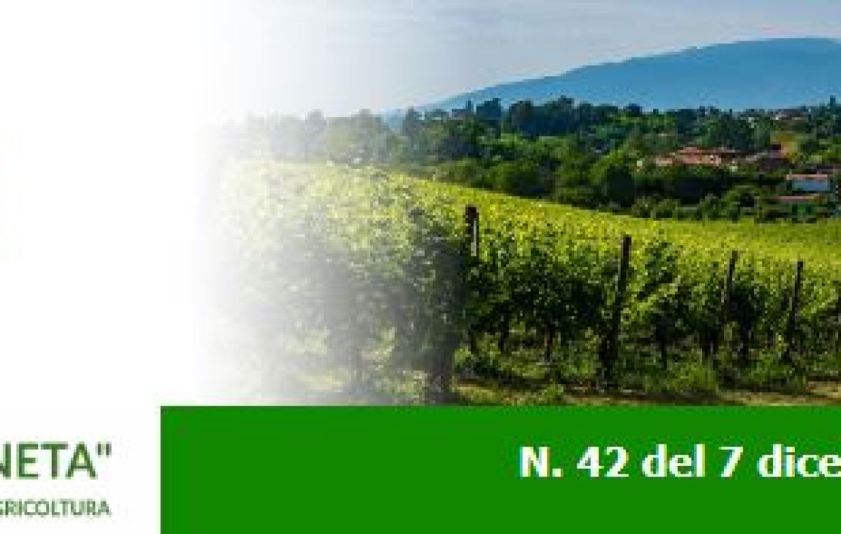 Newsletter Agricoltura Veneta n. 42 del 7 dicembre 2022