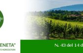 Newsletter Agricoltura Veneta n. 43 del 14 dicembre 2022