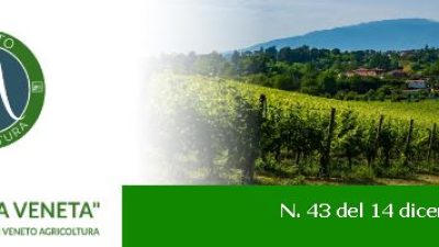 Newsletter Agricoltura Veneta n. 43 del 14 dicembre 2022