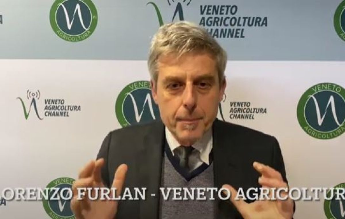 Difesa integrata delle colture: sintesi sugli aspetti normativi, con Lorenzo Furlan di Veneto Agricoltura.