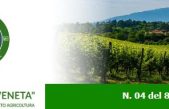 Newsletter “Agricoltura Veneta” n. 4 del 8 febbraio 2023