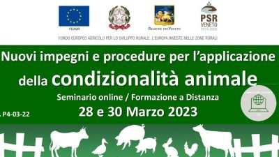 Nuovi impegni e procedure per l’applicazione della condizionalità animale