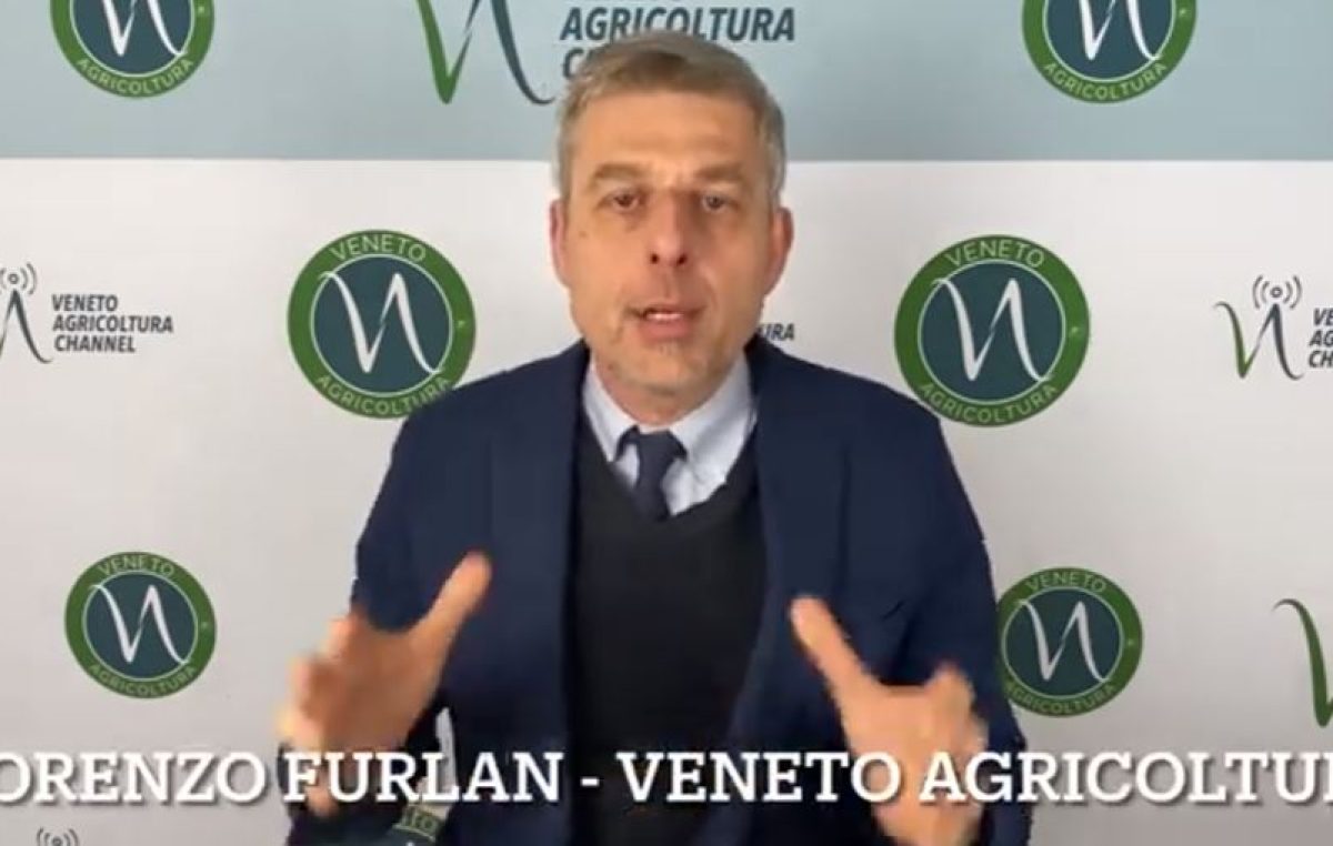 Difesa integrata delle colture: come affrontare le operazioni di semina del mais. Ce lo spiega Lorenzo Furlan di Veneto Agricoltura (Focus Colture Erbacee n. 8 del 2 marzo 2023)