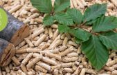 Progetto TeBiCE – Territorial biorefineries for circular economy  Creating a market for biomass products
