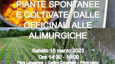 PIANTE SPONTANEE: FOCUS DI VENETO AGRICOLTURA AD AGRIMONT