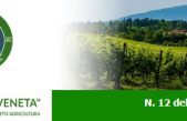 Newsletter Agricoltura Veneta n. 12 del 5 aprile 2023