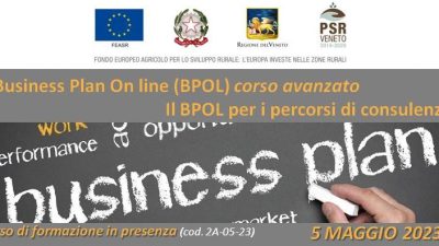 Business Plan On-Line (BPOL) -corso avanzato