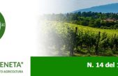 Newsletter Agricoltura Veneta n. 14 del 19 aprile 2023
