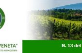 Newsletter Agricoltura Veneta n. 13 del 12 aprile 2023