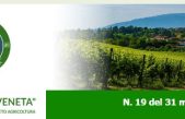 Newsletter Agricoltura Veneta n. 19 del 31 maggio 2023